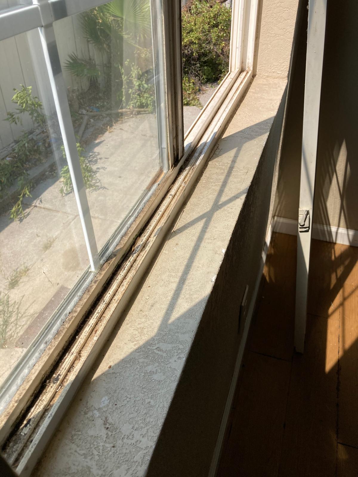 Before project 3 by NICE 2 CLEAN